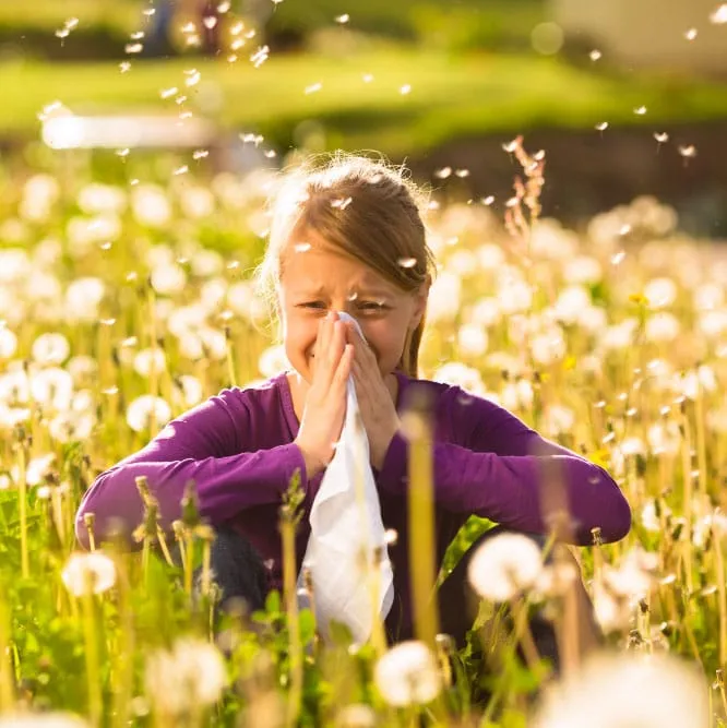 Die Allergiesaison 2023 hat begonnen: Maßnahmen gegen Heuschnupfen